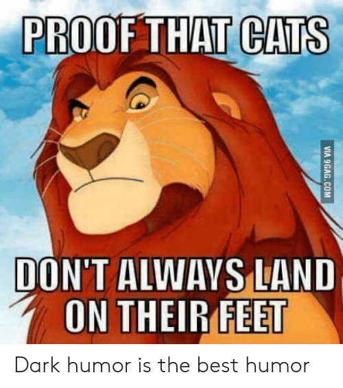Simba The Lion King Memes