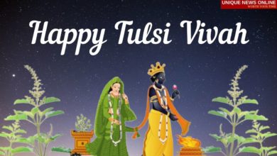 Tulsi Vivah 2021 WhatsApp Status Video to Download
