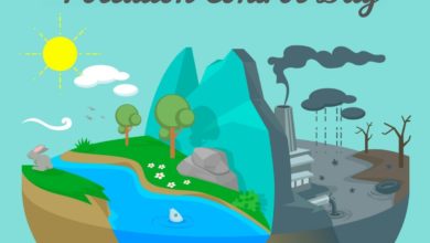 National Pollution Control Day 2021 Poster, Quotes, HD Images, Messages, Slogans, and Banners to create awareness