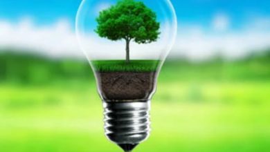 National Energy Conservation Day 2021 Quotes, HD Images, Messages, Poster, Slogans, and Drawing to create awareness