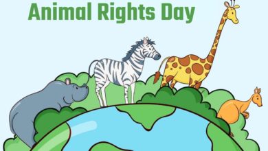 International Animal Rights Day 2021 Quotes, Images, Messages, Slogans, and Posters to create awareness