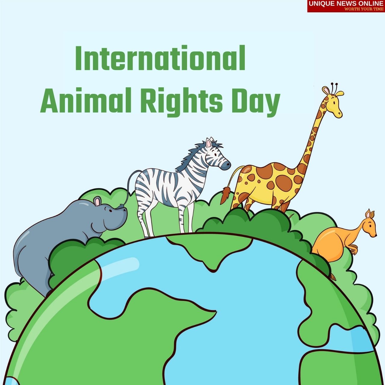 International Animal Rights Day 2021 Quotes, Images, Messages, Slogans, and  Posters to create awareness