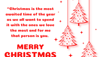Merry Christmas 2021 Quotes, Wishes, Images, Messages, Greetings, Sayings for Boyfriend/Girlfriend