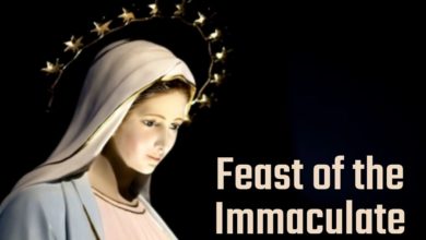 Feast of the Immaculate Conception 2021 Quotes, Wishes, Greetings, Sayings, HD Images to Share
