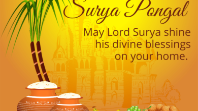 Surya Pongal 2022: Wishes, Quotes, HD Images, Greetings, WhatsApp Status Video to greet your loved ones