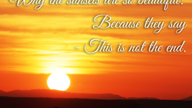 Sunset Quotes & Captions