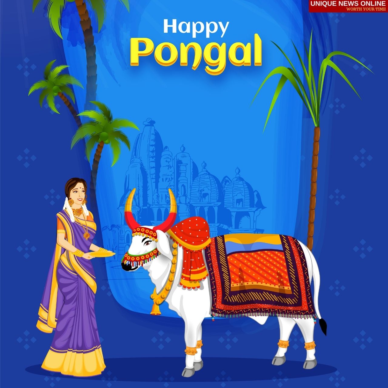 Pongal 2022 Date, History, Significance, Importance, Pooja Time, Vidhi, Samagari, and More