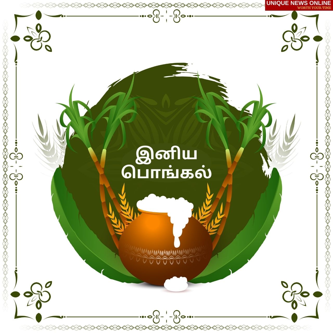 Pongal 2022: Tamil Greetings, Quotes, Wishes, HD Images, Messages, Sayings to greet your loved ones