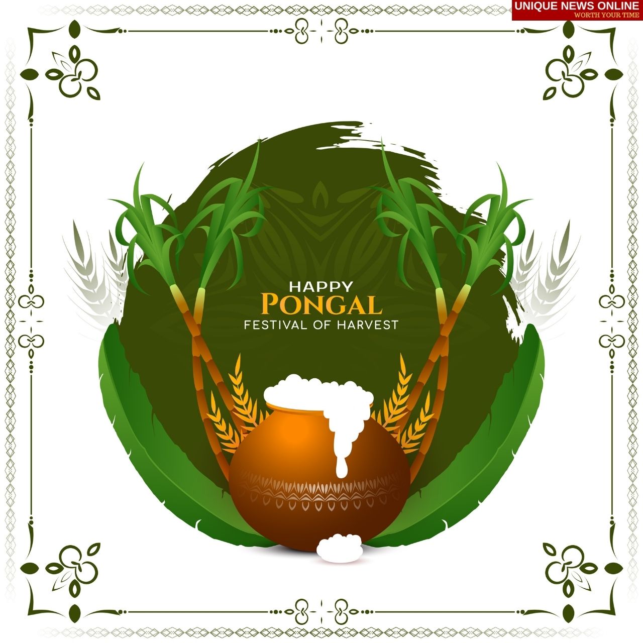Pongal 2022 Wishes, Quotes, HD Images, Messages, Sayings, Greetings to share