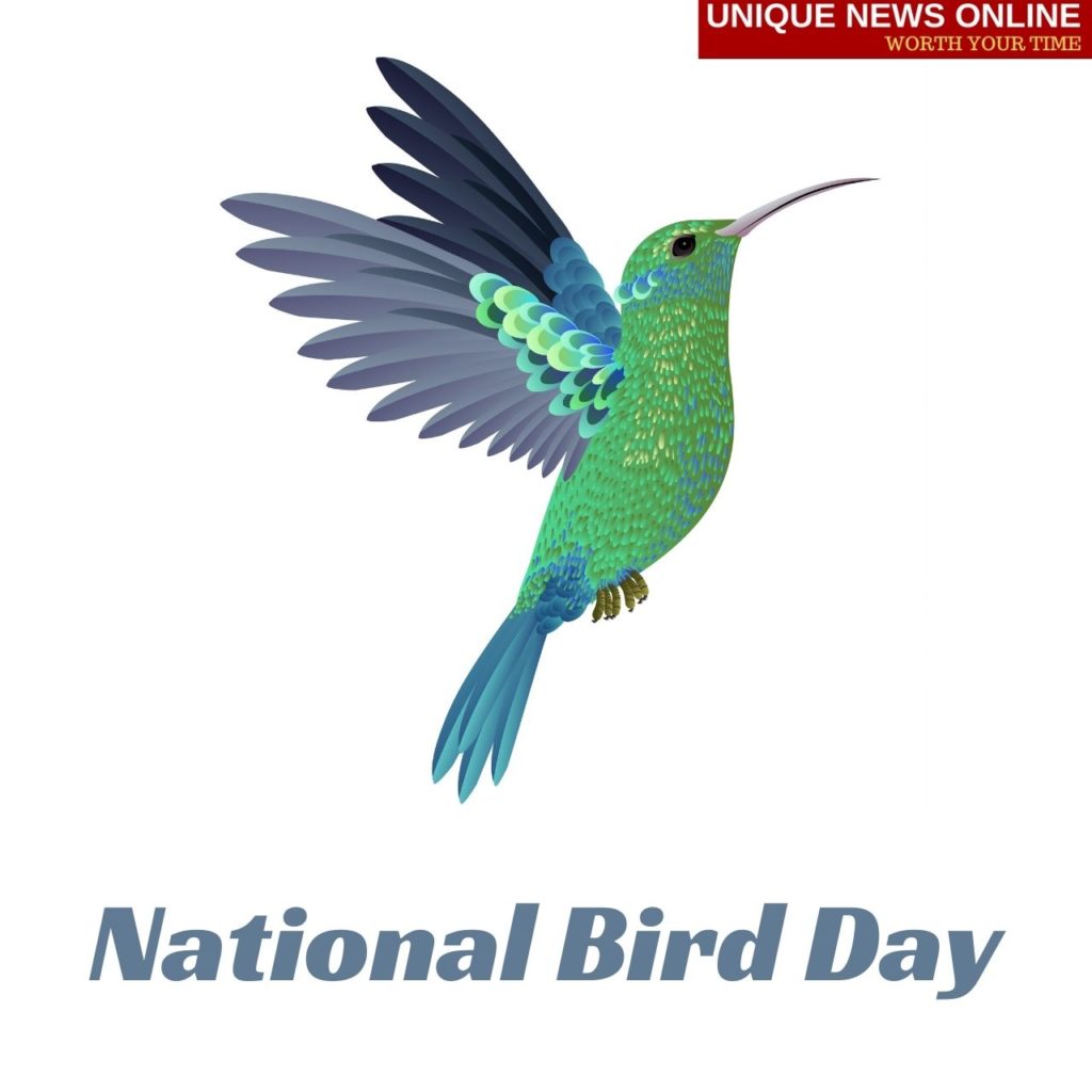 اليوم الوطني للطيور 2022 قصاصات فنية