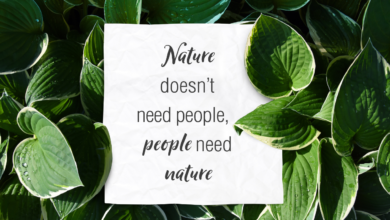 75 Best Nature Quotes to Keep You Inspired in 2022