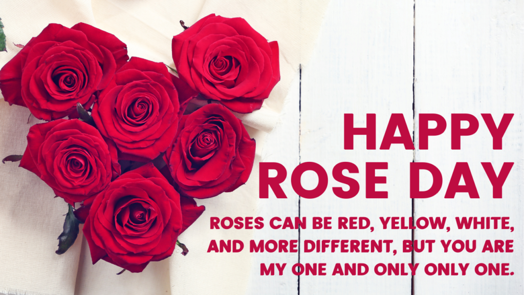 Happy Rose Day 2022: Wishes, Quotes, HD Images, Messages, Status, Shayari  to greet your love on the 1st day of Valentine's week