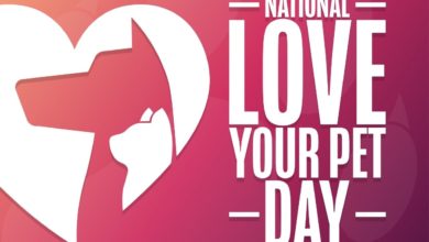 National Love Your Pet Day 2022 Instagram Captions, Quotes, HD Images, Wishes, Messages to share with lovers
