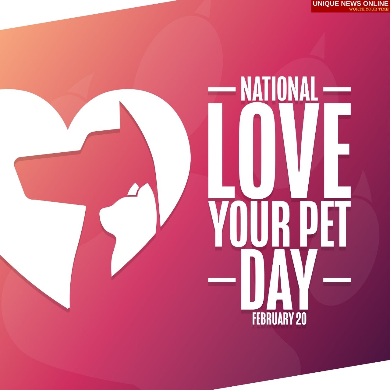 National Love Your Pet Day 2022 Instagram Captions، Quotes، HD Images، Wishes، Messages للمشاركة مع العشاق