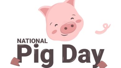 اليوم الوطني للخنازير (الولايات المتحدة الأمريكية) 2022 ميمز ، صور ، رسائل ، اقتباسات للاحتفال بالخنازير المستأنسة