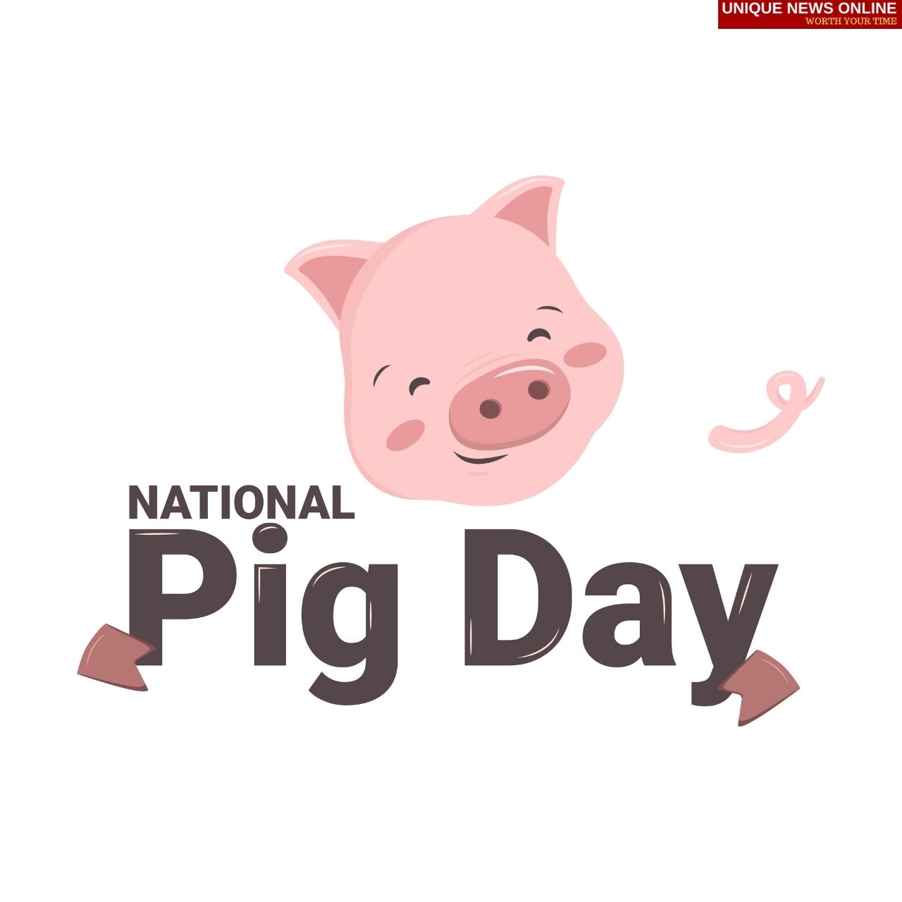 National Pig Day (USA) 2022 Memes, Images, Messages, Quotes to celebrate the domesticated pig