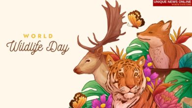 World Wildlife Day 2022 Theme, Date, History, Significance, Importance, Activities, and More