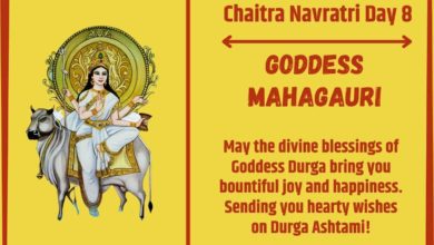 Chaitra Navratri Day 8 Wishes And Greetings: Goddess Mahagauri PNG Images, HD Wallpaper, Wishes, Shayari To Greet Your Loved Ones