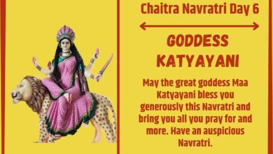 Chaitra Navratri Day 6 Wishes And Greetings: Goddess Katyayani PNG Images, HD Wallpaper, Wishes, Shayari To Greet Your Loved Ones