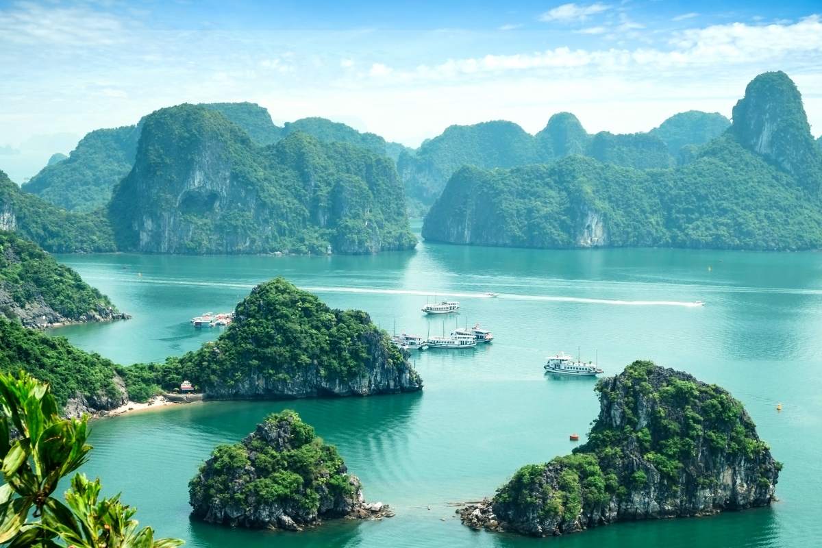 5 أسباب لماذا باقات السياحة الفيتنامية من الهند هي اتجاه جديد