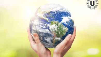 Earth Day 2022 Theme, History, Significance, Importance, Awareness Activities, And Everything You Need To Know