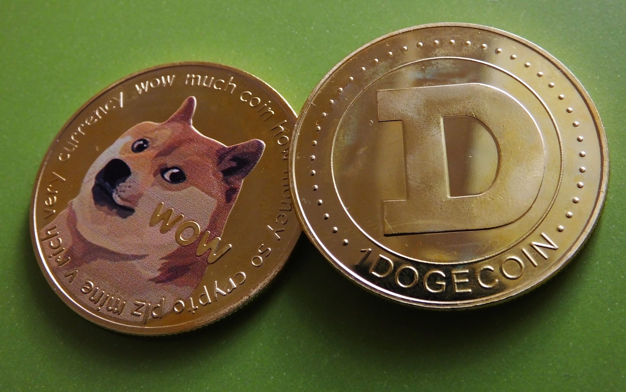 dogecoin scaled