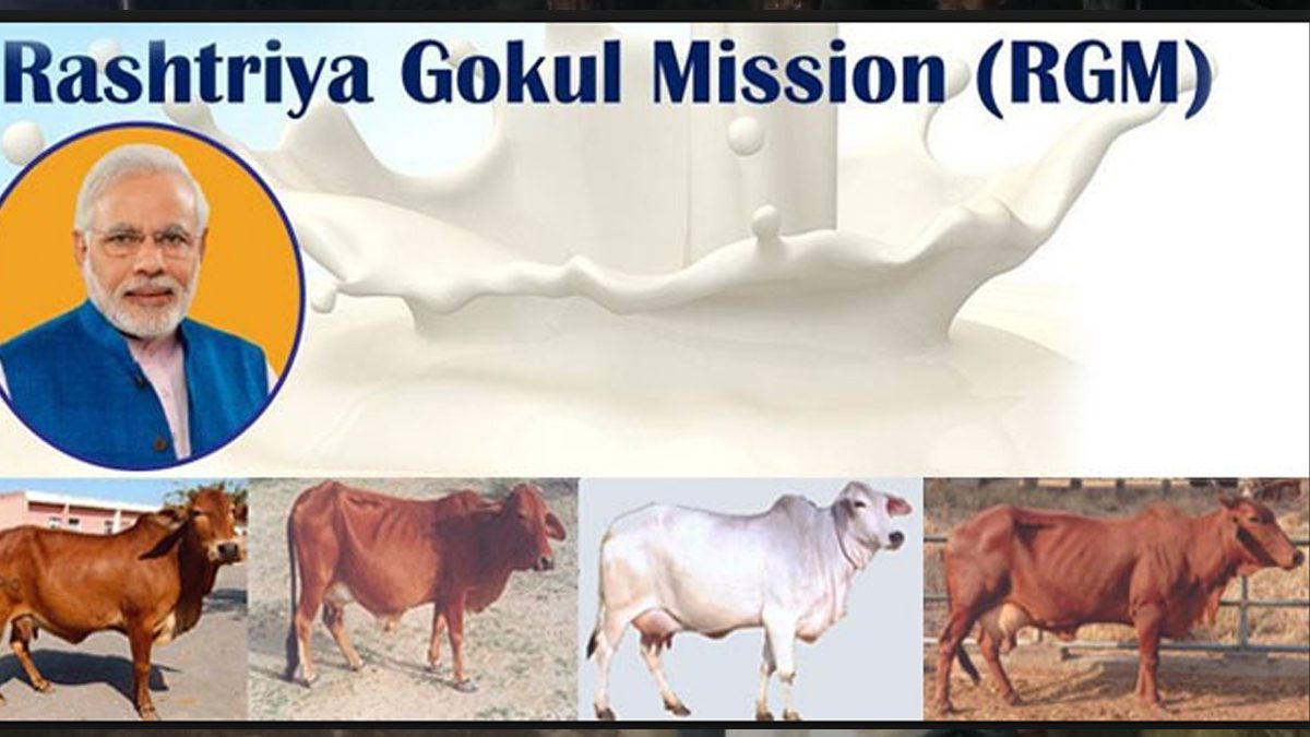 Rashtriya Gokul Mission: Objectives, Characteristics, And More Details