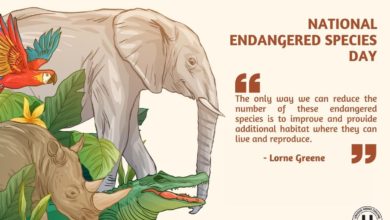 National Endangered Species Day 2022: Current Theme, Significance, Quotes, Posters, and HD Images