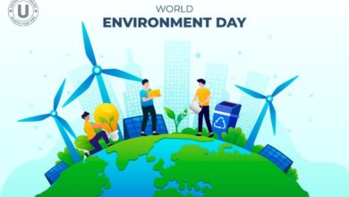 World Environment Day 2022: Best Instagram Captions, WhatsApp Status Video, Twitter Images, Facebook Quotes, and Sayings To Make Masses Aware