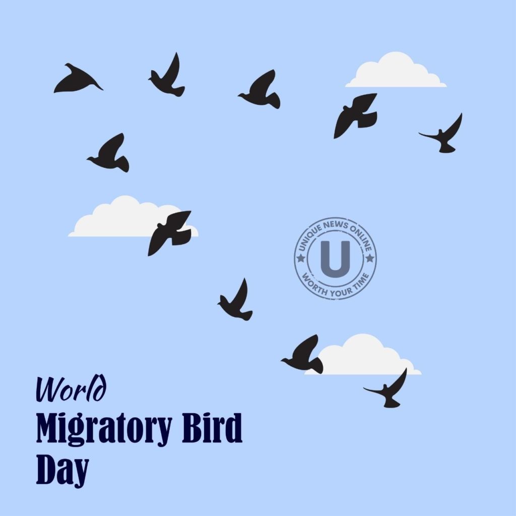World Migratory Bird Day 2022