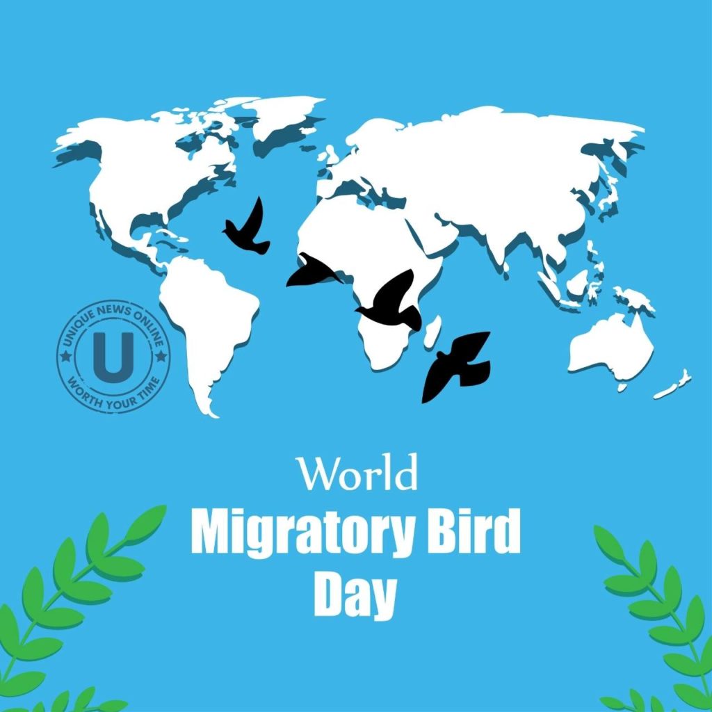World Migratory Bird Day Quotes