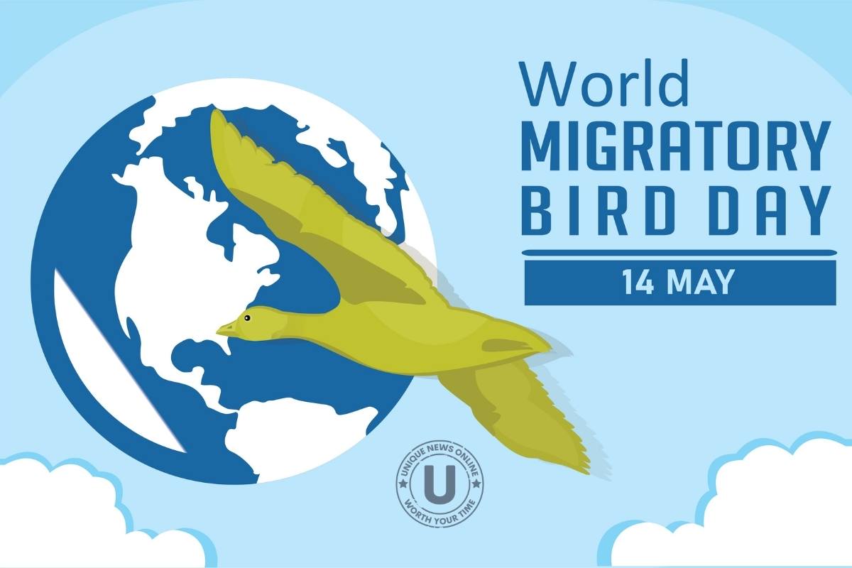 اليوم العالمي للطيور المهاجرة 2022: الموضوع الحالي ، الاقتباسات ، الملصقات ، الصور ، الرسائل ، الشعارات