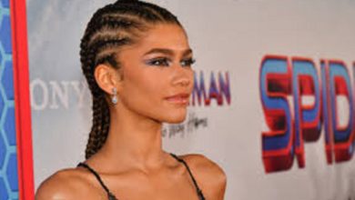 Zendaya's Picture In Indian Outfit Confuses Fans All Over