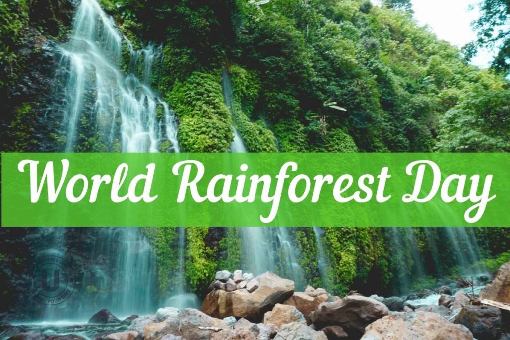 World Rainforest Day 2022: Current Theme