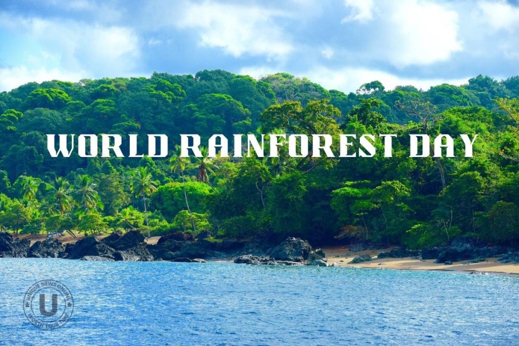 World Rainforest Day 2022: Slogans