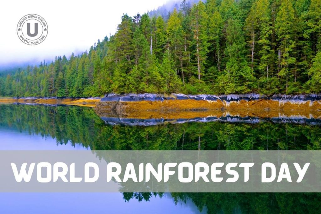 World Rainforest Day 2022: Messages