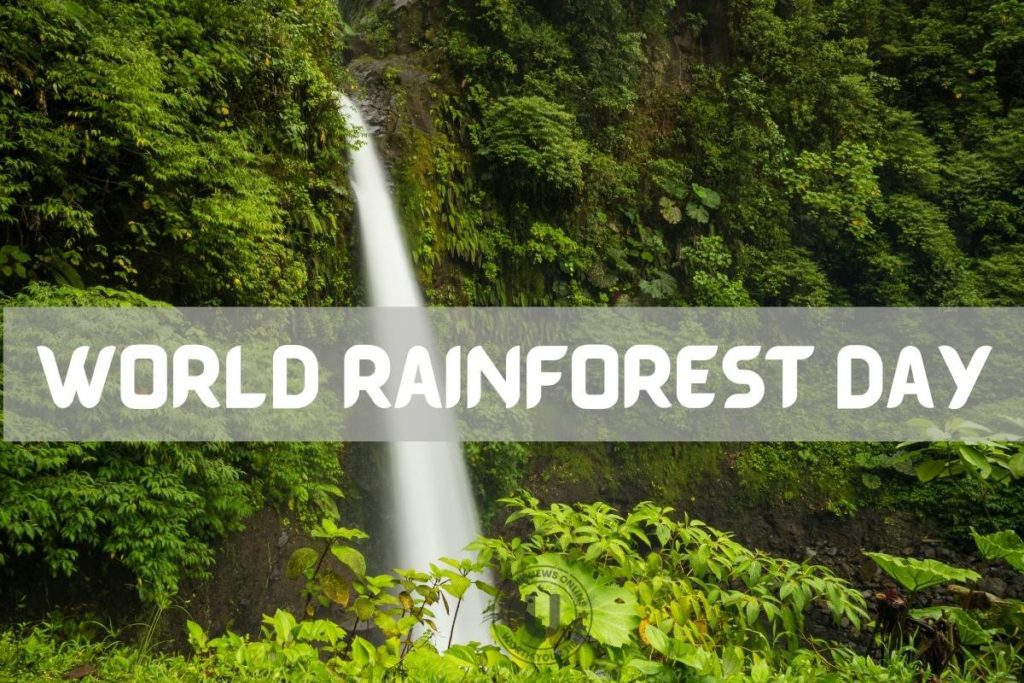 اليوم العالمي للغابات المطيرة 2022: اقتباسات تويتر