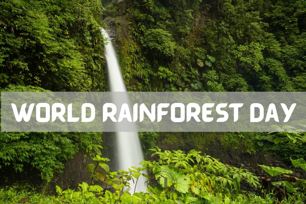 World Rainforest Day 2022: Current Theme, Quotes, Slogans, Messages, Images to Share