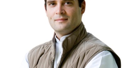 Rahul Gandhi Birthday: The Politian Turns 52, All About Youth Politics, Assembly Elections, National Herald Corruption Case And More