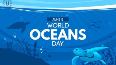 World Ocean Day 2022: Top Awareness Creating Quotes, Slogans, Messages, Images, Posters, Instagram Captions to share on Social Media