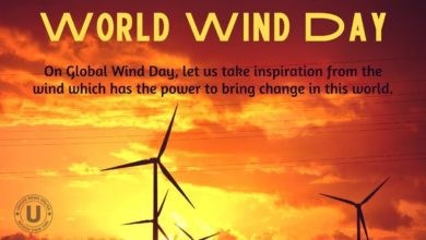World Wind Day 2022: Quotes, Images, Slogans, Messages, and Posters to create awareness