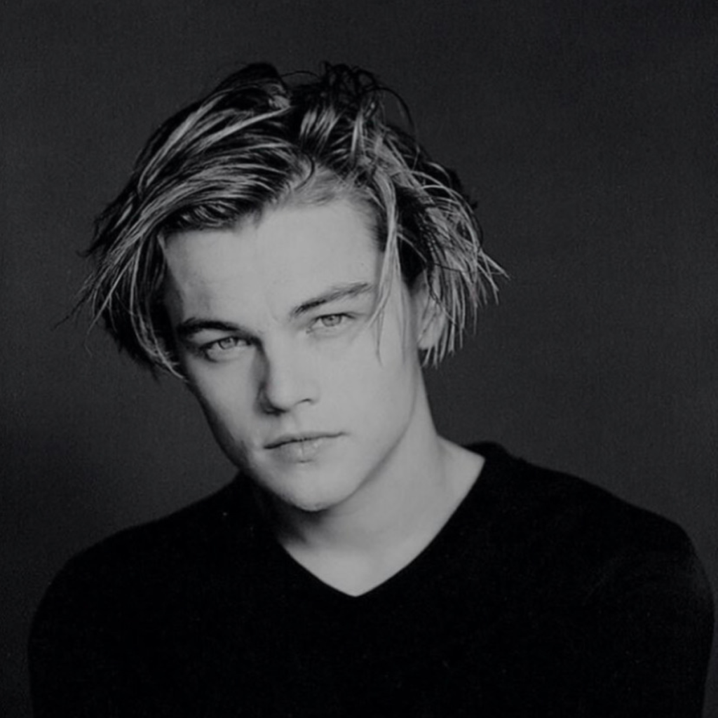 Leonardo DiCaprio Hairstyle