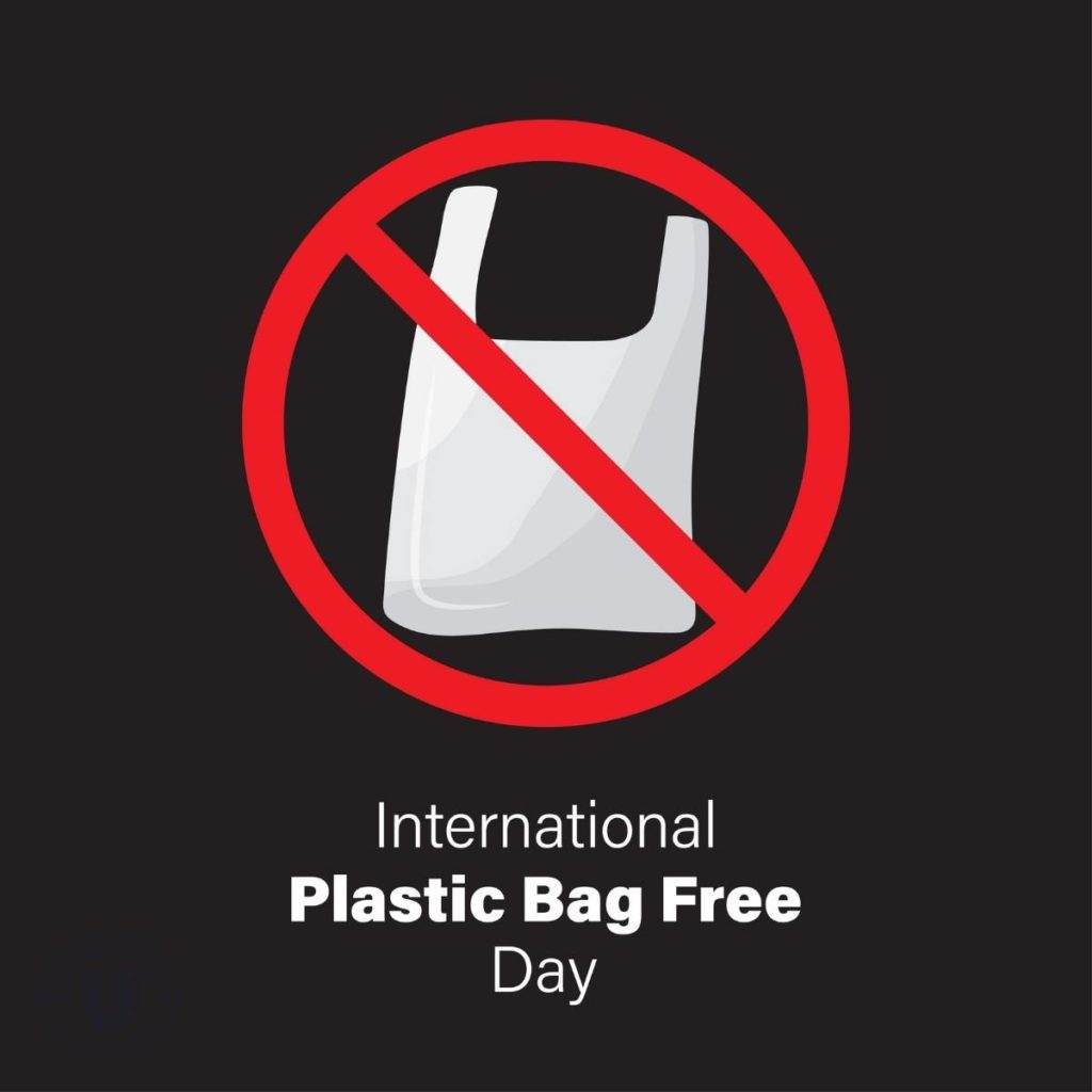 اليوم العالمي المجاني للأكياس البلاستيكية: Postres