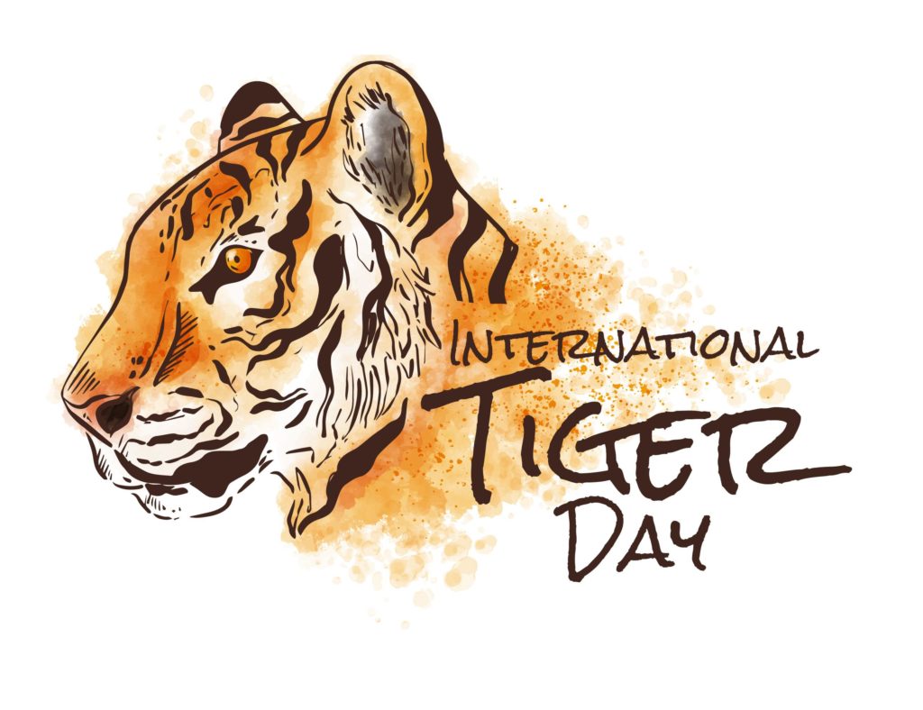 International Tiger Day 2022 Images