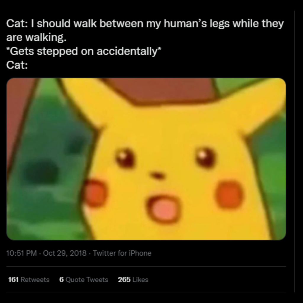 Cat Pickachu Meme