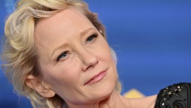 Anne Heche In Coma Following Tragic Car Accident, The Collided Property Owner Lost Her Lifetime Of Possessions
