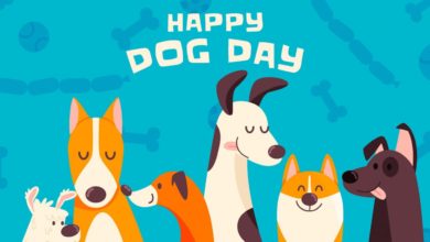 International Dog Day 2022: Theme, Quotes, Messages, Wishes, Images, Slogans, Captions and other Social Media Posts to encourage dog adoption