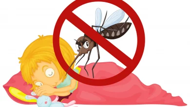 World Mosquito Day 2022: Current Theme, Messages, Quotes, Images, Slogans, To Share