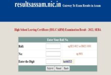 SEBA-resultaten 2022: Assam Board-examenresultaten voor klasse 10 vrijgegeven, hier kunt u het controleren