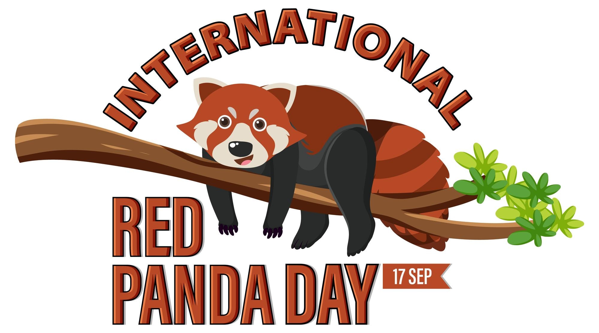 International Red Panda Day